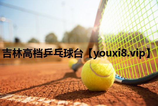 吉林高档乒乓球台
