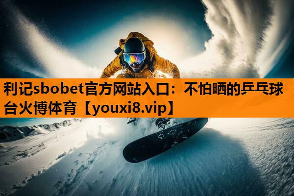 利记sbobet官方网站入口：不怕晒的乒乓球台火博体育