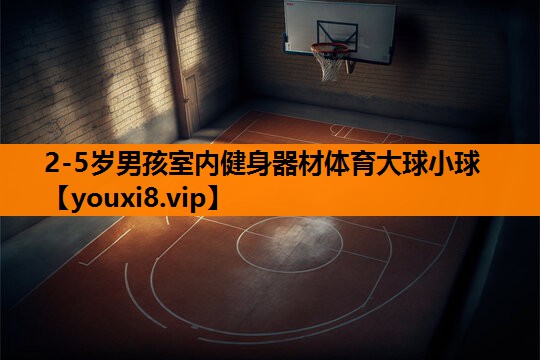 2-5岁男孩室内健身器材体育大球小球