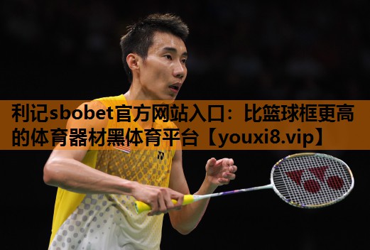 利记sbobet官方网站入口：比篮球框更高的体育器材黑体育平台