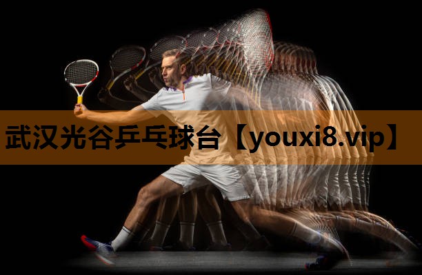 武汉光谷乒乓球台