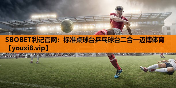 SBOBET利记官网：标准桌球台乒乓球台二合一迈博体育