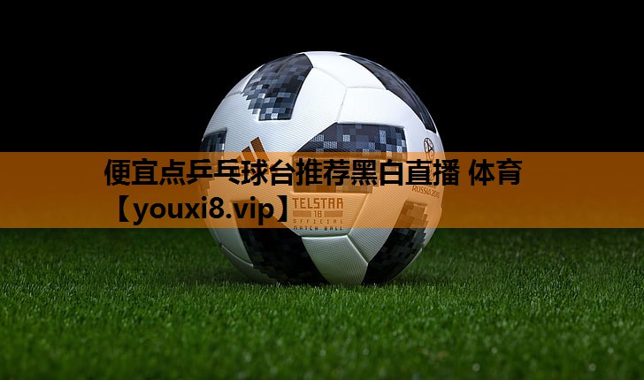 便宜点乒乓球台推荐黑白直播 体育