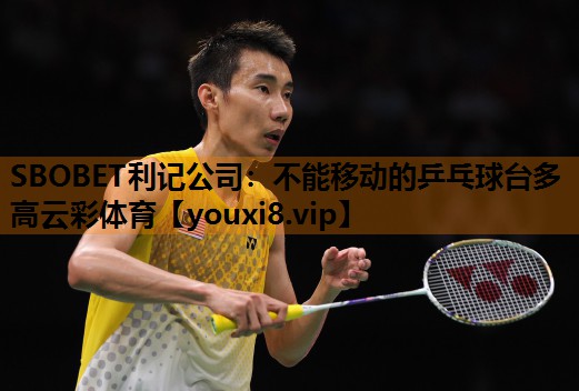 SBOBET利记公司：不能移动的乒乓球台多高云彩体育