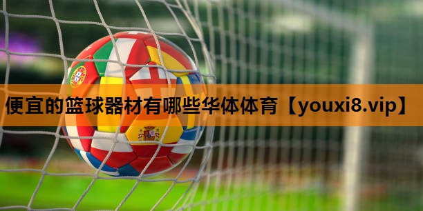 便宜的篮球器材有哪些华体体育