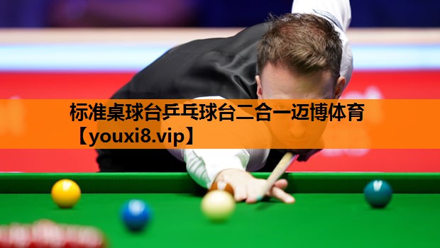 标准桌球台乒乓球台二合一迈博体育