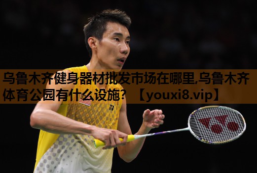 乌鲁木齐健身器材批发市场在哪里,乌鲁木齐体育公园有什么设施？
