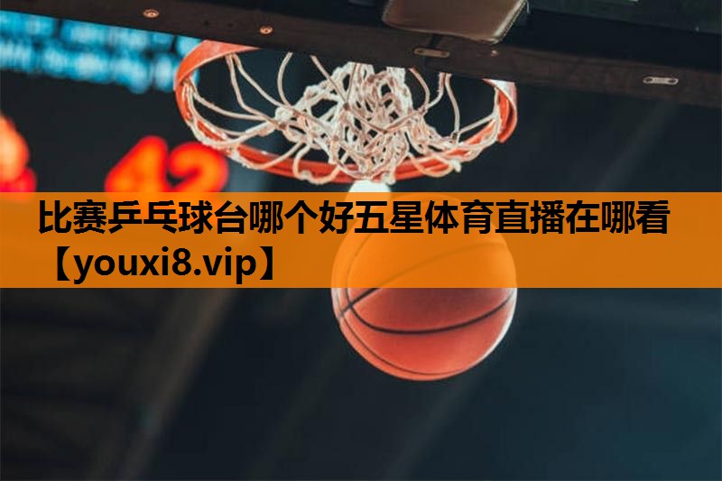 比赛乒乓球台哪个好五星体育直播在哪看
