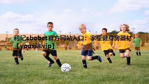 家里健身房器材 家里健身房器材