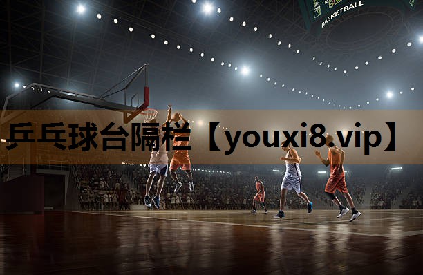 乒乓球台隔栏 乒乓球台隔栏