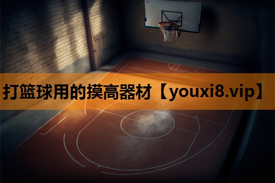 打篮球用的摸高器材 打篮球用的摸高器材