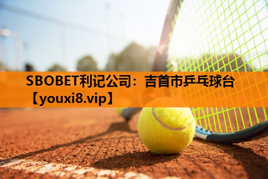 吉首市乒乓球台 吉首市乒乓球台