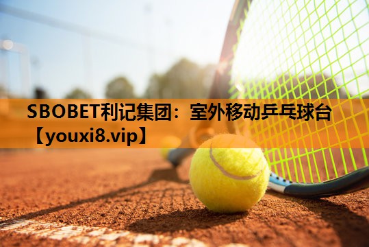 室外移动乒乓球台 室外移动乒乓球台
