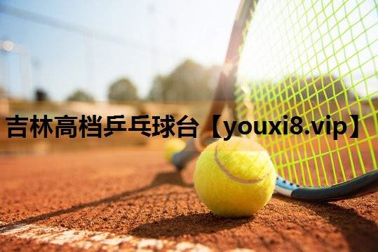 吉林高档乒乓球台 吉林高档乒乓球台