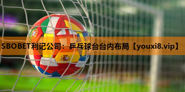 乒乓球台台内布局 乒乓球台台内布局
