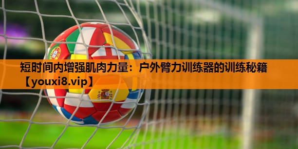 短时间内增强肌肉力量:户外臂力训练器的训练秘籍 短时间内增强肌肉力量:户外臂力训练器的训练秘籍