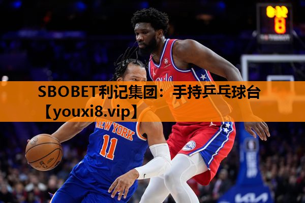 手持乒乓球台 手持乒乓球台