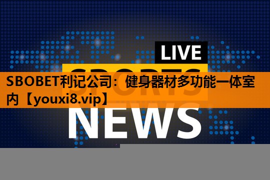 健身器材多功能一体室内 健身器材多功能一体室内