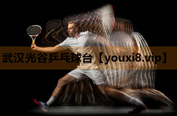 武汉光谷乒乓球台 武汉光谷乒乓球台