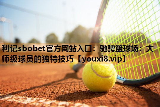 驰骋篮球场:大师级球员的独特技巧 驰骋篮球场:大师级球员的独特技巧
