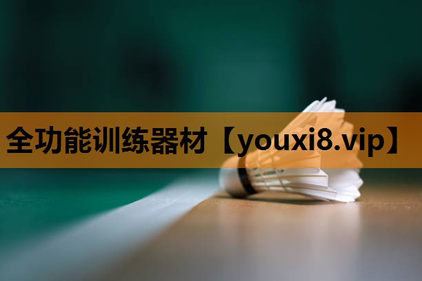 全功能训练器材 全功能训练器材
