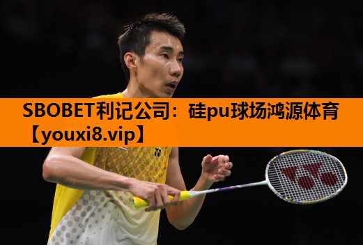 硅pu球场鸿源体育 硅pu球场鸿源体育